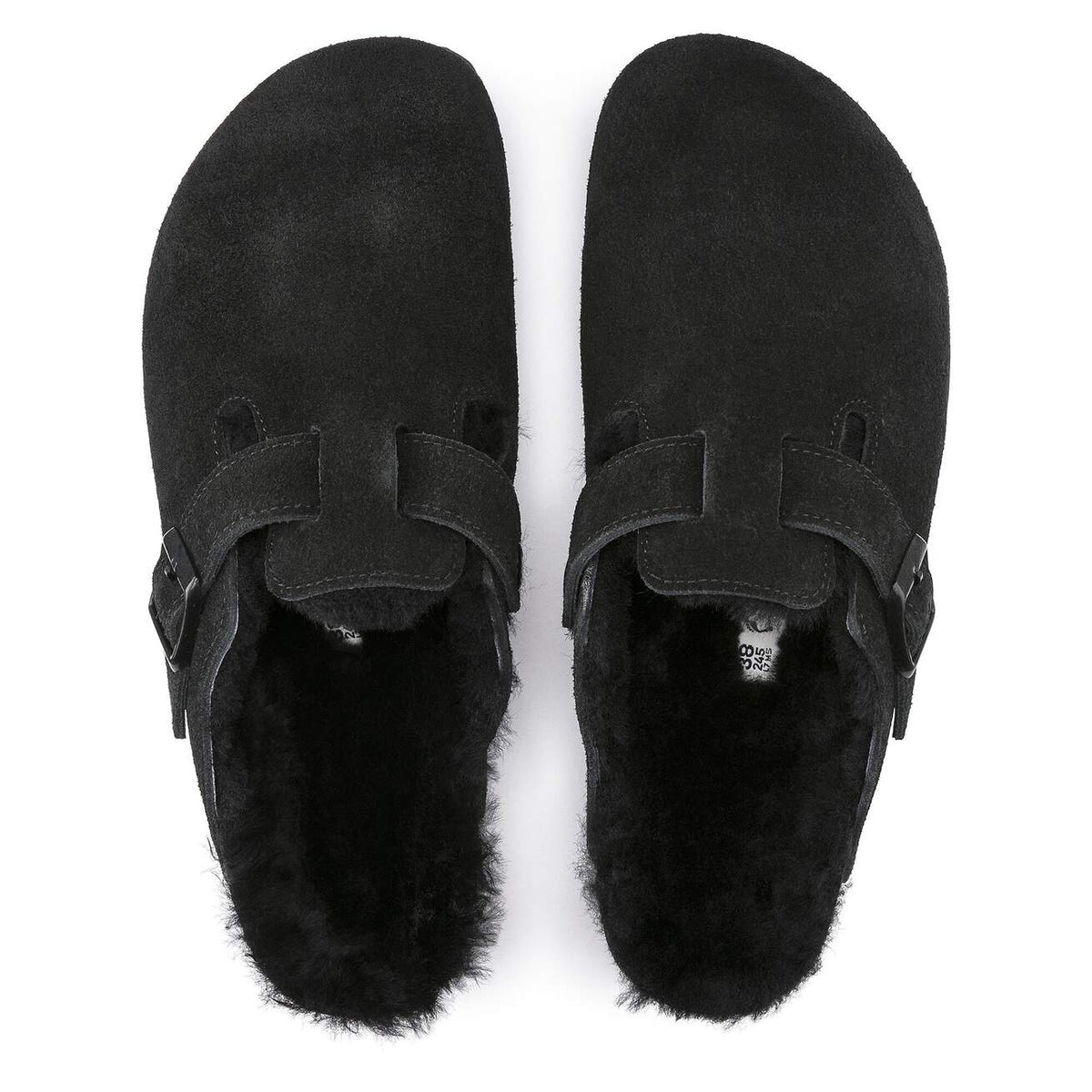 BOSTON SHEARLING