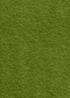 Essentiel Antwerp KAAP – Vert clair – vue 9