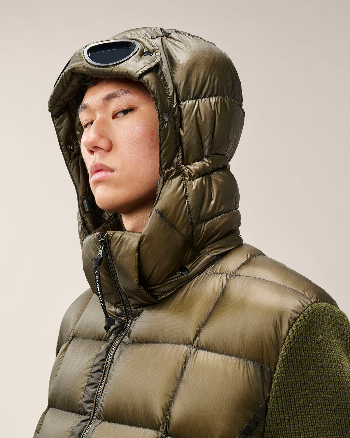 VESTE LAINE D.D SHELL